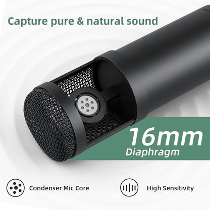 ARVOX AX-M5 USB Condenser Microphone Kit, 192kHz/24bit, 20-20KHz, 16mm Diaphragm, with Boom Arm, Pop Filter, Shock Mount, Tripod, 2.5M Cable, for Podcasting, Gaming, Singing